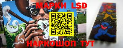 индика Краснознаменск
