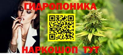 индика Краснознаменск