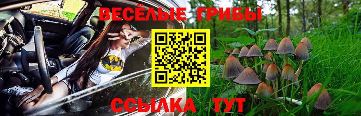Кизляр  Псилоцибиновые грибы MAGIC MUSHROOMS  Вход с VPN  Псилоцибиновые грибы MAGIC MUSHROOMS 