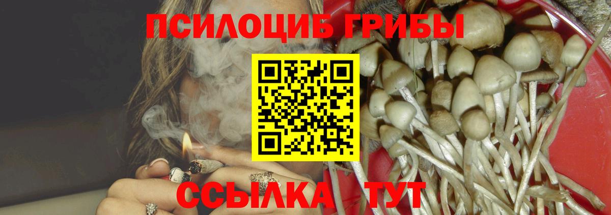 Псилоцибиновые грибы Cubensis Кизляр